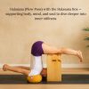 Halasana Box B